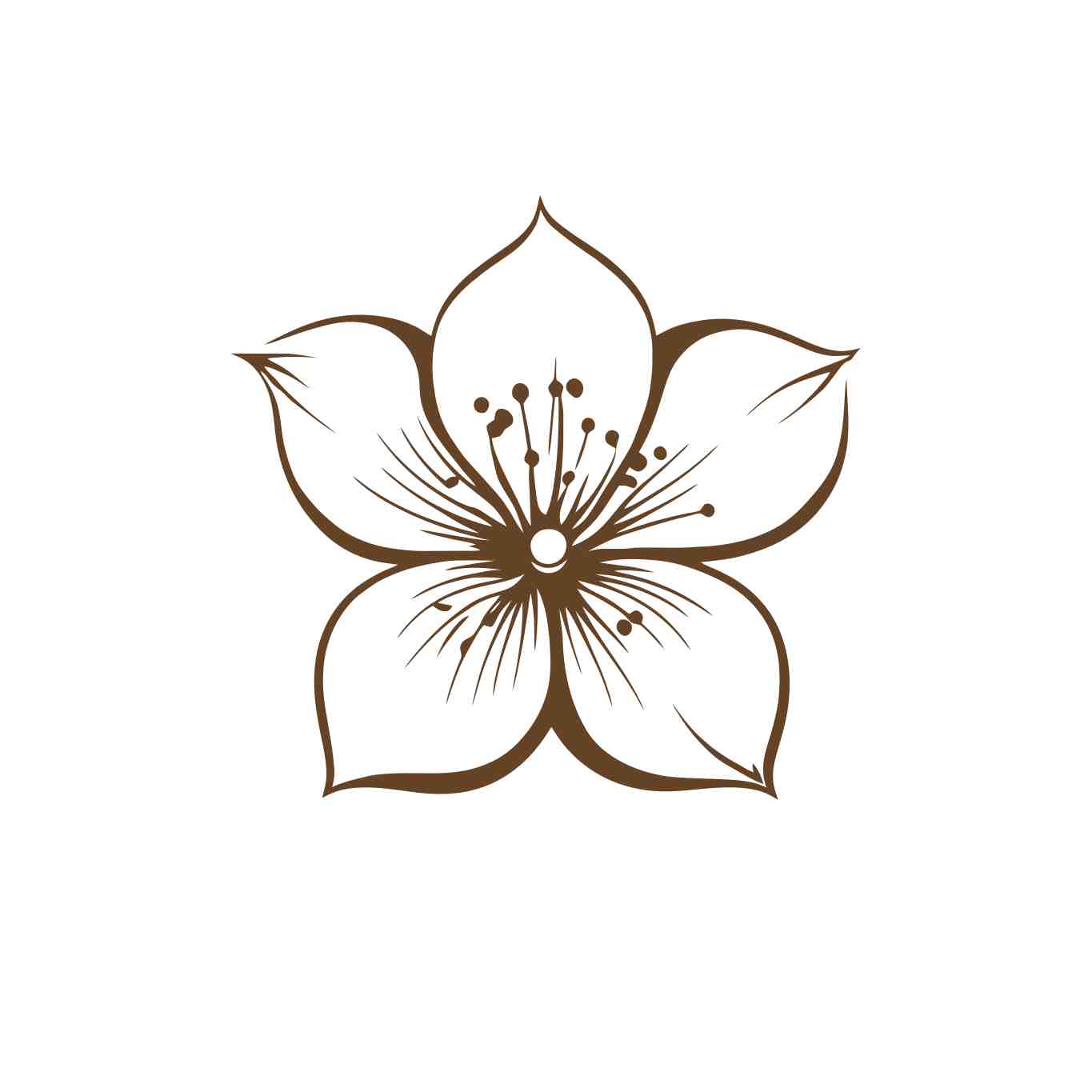 Elegant Cherry Blossom Illustration