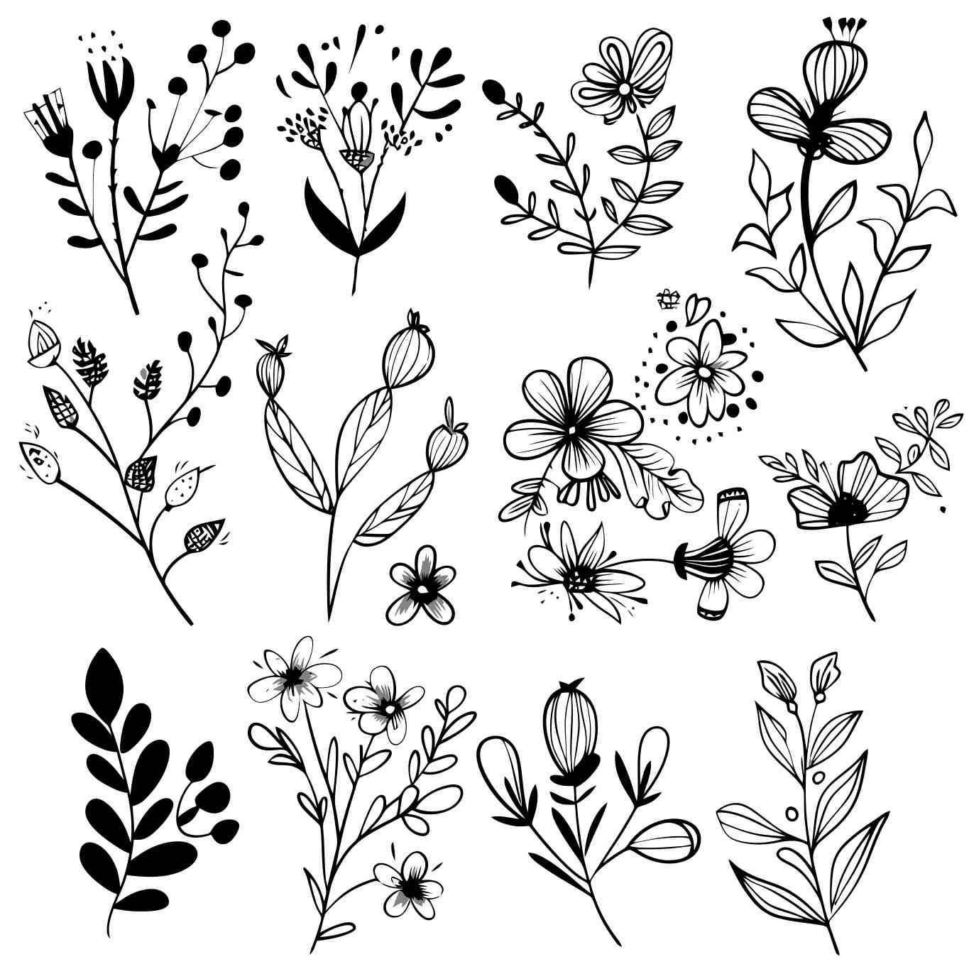 Elegant Botanical Illustrations