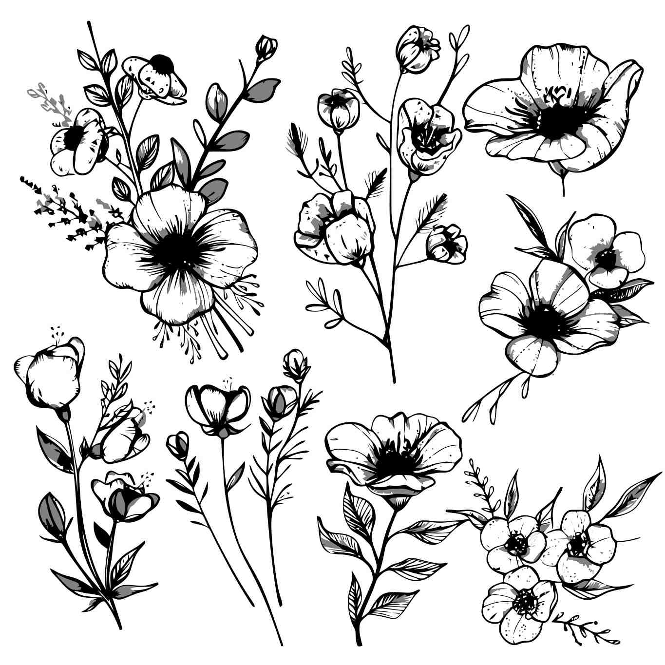Elegant Black and White Floral Illustrations